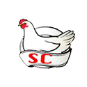 Somali Chicken 